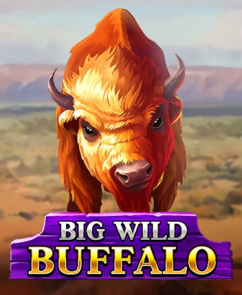 Play Big Wild Buffalo at Royal Swipe Casino
